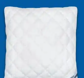 Lidl BeCo Matratzen Kopfkissen Royal Soft Angebot