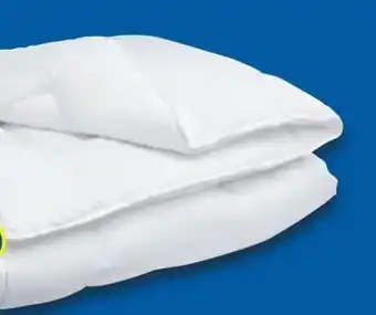 Lidl BeCo Matratzen Winter-Duo-Steppbett Royal Soft Angebot