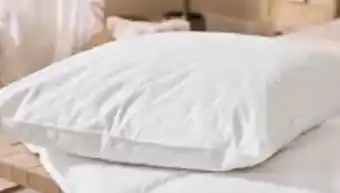 Lidl Livarno Home Kopfkissen Angebot