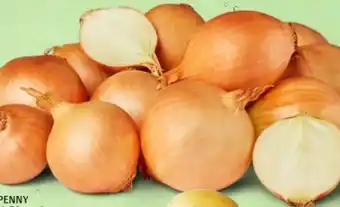PENNY Marktliebe Zwiebeln XXL Angebot