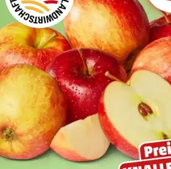 PENNY Äpfel Angebot