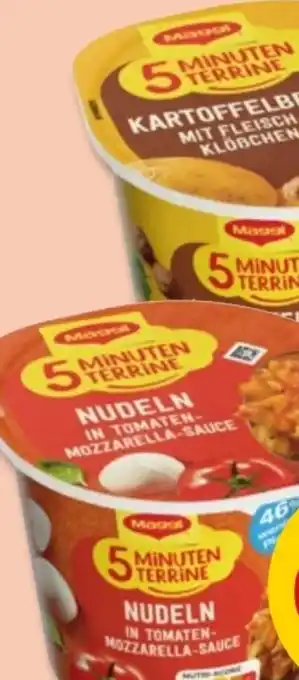 PENNY Maggi 5 Minuten Terrine Kartoffelbrei Angebot