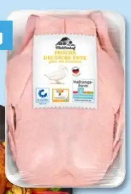 PENNY Mühlenhof Junge Ente Angebot