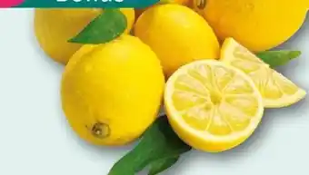 nahkauf Rewe Bio Zitronen Angebot
