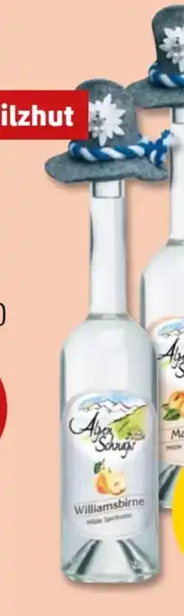 PENNY Alpenschnaps Marille Angebot