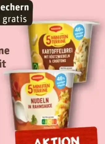 nahkauf Maggi 5 Minuten Terrine Kartoffelbrei Angebot