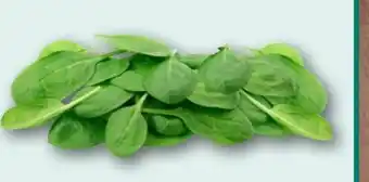 nahkauf Rewe Bio Baby Spinat Angebot