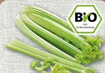 nahkauf Rewe Bio Staudensellerie Angebot