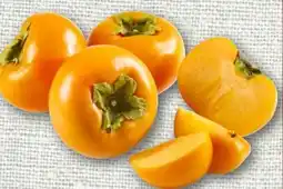 nahkauf Kaki Rojo Brillante Angebot