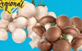 E-Center Champignons Angebot