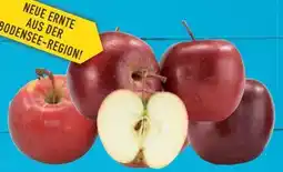 E-Center Tafeläpfel-Jonagold Angebot