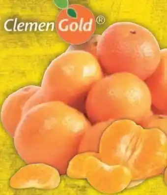 E-Center Mandarinen Nadorcott Angebot