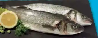 E-Center Frischer Wolfsbarsch Angebot