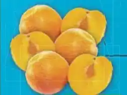 E-Center Pflaumen Rose Angebot