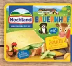 E-Center Hochland Käse-Scheiben Angebot