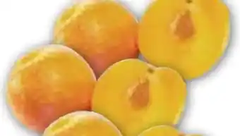 Edeka Pflaumen Rose Angebot