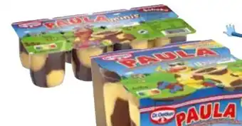 Edeka Dr. Oetker Paula Pudding Angebot