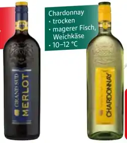 Edeka Grand Sud Merlot Angebot