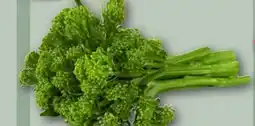 REWE Center Bimi Broccolini Angebot