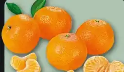 REWE Center Rewe Beste Wahl Clementinen Angebot