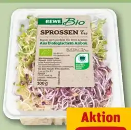 REWE Center Rewe Bio Sprossen Angebot