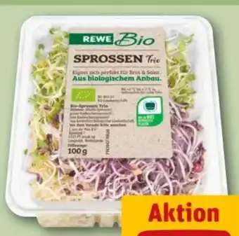 REWE Center Rewe Bio Sprossen Angebot