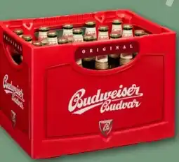 REWE Center Budweiser Budvar (CZ) Czech Premium Lager Angebot