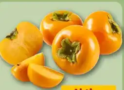 REWE Center Kaki Rojo Brillante Angebot