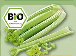 REWE Center Rewe Bio Staudensellerie Angebot