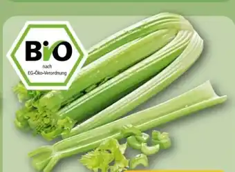 REWE Center Rewe Bio Staudensellerie Angebot