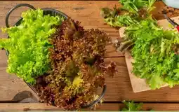 REWE Center Rewe Regional Wurzelsalate Salattrio Angebot