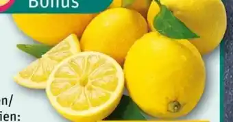 REWE Center Rewe Bio Zitronen Angebot