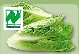 REWE Center Rewe Bio Romana Salatherzen Angebot