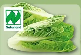 REWE Center Rewe Bio Romana Salatherzen Angebot