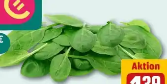 REWE Center Rewe Bio Baby Spinat Angebot