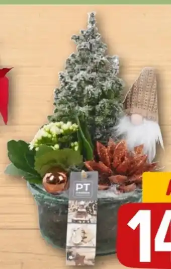 REWE Center Winterarrangement Angebot