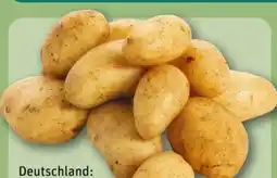 REWE Center Speisekartoffeln Angebot