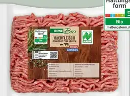 REWE Center Rewe Bio Bio-Hackfleisch gemischt Angebot
