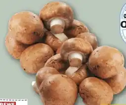 REWE Center Rewe Regional Champignons Angebot