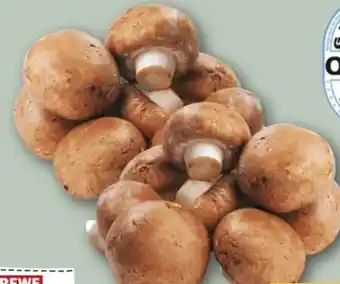 REWE Center Rewe Regional Champignons Angebot