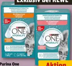 REWE Center Purina One Katzenfutter Angebot