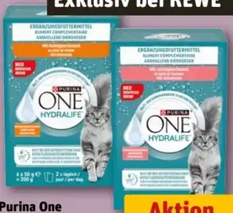 REWE Center Purina One Katzenfutter Angebot