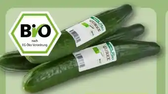 REWE Rewe Bio Bio-Salatgurke Angebot
