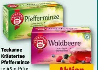 REWE Center Teekanne Kräutertee Angebot