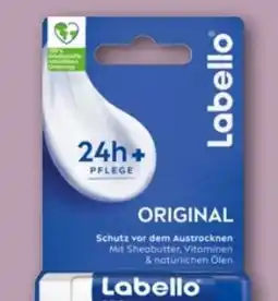 REWE Center Labello Original Angebot