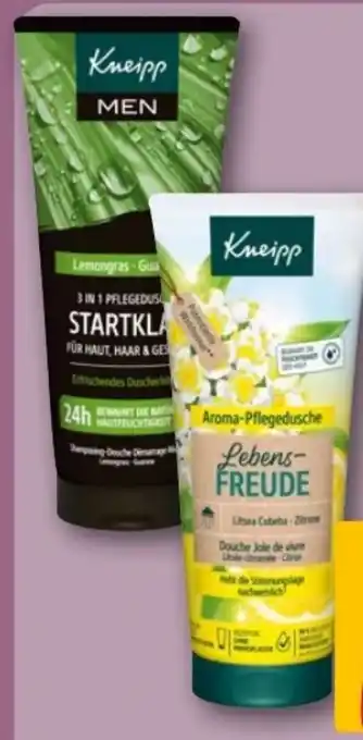 REWE Center Kneipp Duschgel Angebot