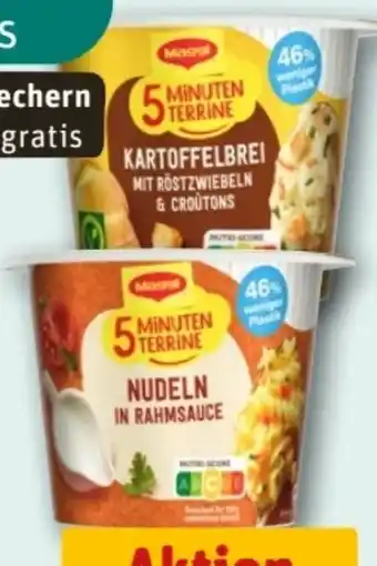 REWE Center Maggi 5 Minuten Terrine Angebot