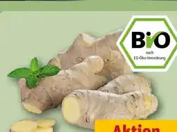 REWE Bio Ingwer Angebot