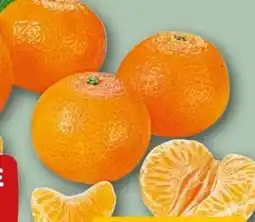 REWE Rewe Beste Wahl Clementinen Angebot