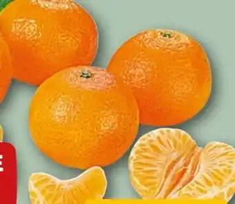 REWE Rewe Beste Wahl Clementinen Angebot